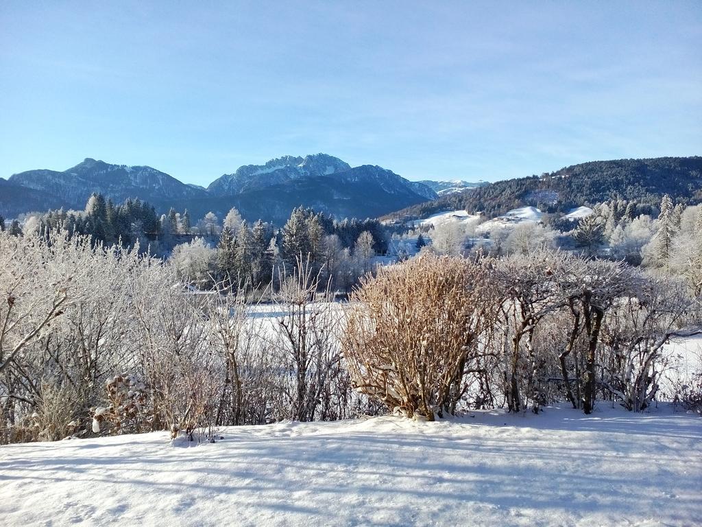 Haus Jana Villa Hermagor-Pressegger See Bagian luar foto