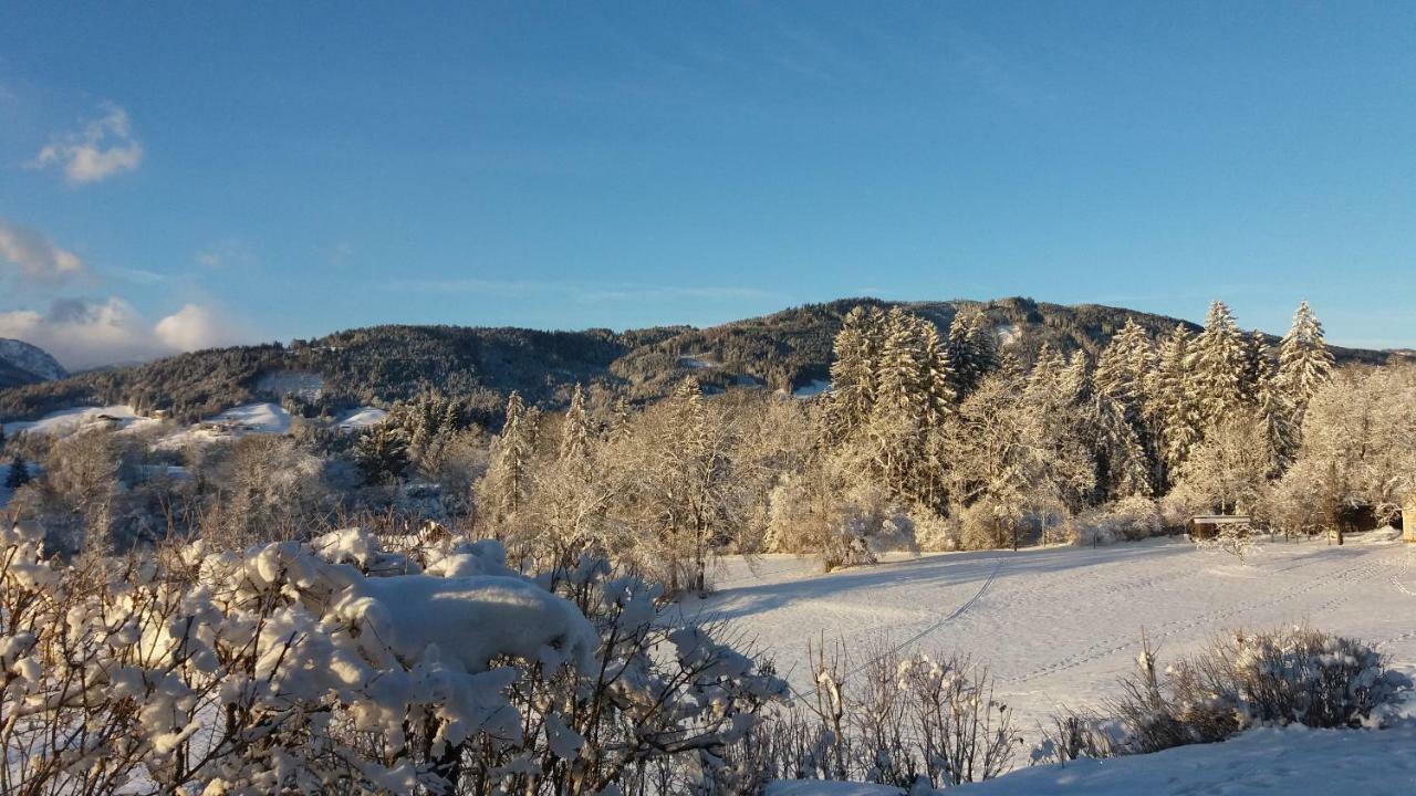 Haus Jana Villa Hermagor-Pressegger See Bagian luar foto