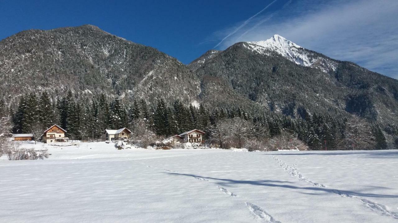 Haus Jana Villa Hermagor-Pressegger See Bagian luar foto
